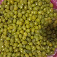 زیتون شکسته سفید روغنی درشت سورتینگ شده|خوردنی و آشامیدنی|قزوین, |دیوار