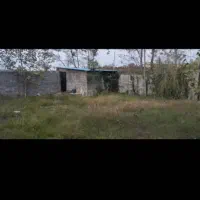 فروش زمین ۲۵۰ متری|فروش زمین و ملک کلنگی|واجارگاه, |دیوار