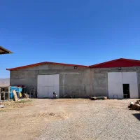 استخدام نیروی کار