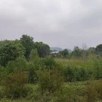 181-زمین-مسکونی-رشت