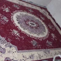 12متری تک|فرش|خوی, |دیوار