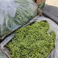 غوره و اب غوره