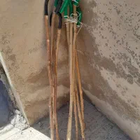 گوچان...عصای چوبی