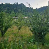 زمین در تالش کوهپایه جنگلی مسکونی اسالم طولارود|فروش زمین و ملک کلنگی|تالش, طولارود|دیوار