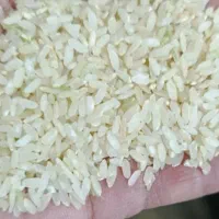 برنج عنبربو / عنبر بو کامفیروزی با عطر و طعم عالی