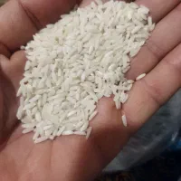 برنج علی کاظمی ومیان دانه علی کاظمی