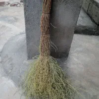 جارو دستی گیاه درمنه