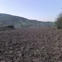 شخم دیکس انجام میشود تسویه سر محصول