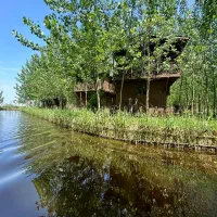 کلبه جنگلی نوساز با چشم انداز رویایی