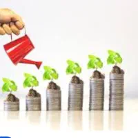 سرمایه برای خرید زعفران