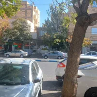 اجاره زیرزمین ۱۶۰ متری برخیابان ظهیری منجم حجتی|اجارهٔ دفتر کار، اتاق اداری، مطب|تبریز, |دیوار