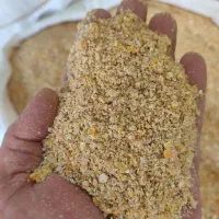 5۵دان مرغ برای تخم گذار موجود خوراک طیور اقتصادی