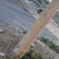 زمین-دانشگاه-بیست