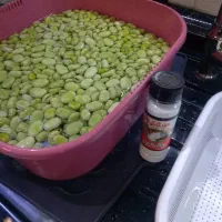 باقالی،نخود سبز و سبزیجات وسمبوسه نیمه آماده