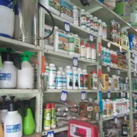 سم پاشی موریانه سوسک ساس سم پاشی موش|خدمات نظافت|اصفهان, شاهزید|دیوار