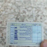 مدارک گمشده