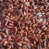 پیارم بی هسته