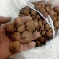 بادام وگردو امسال