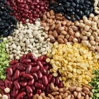 انواع حبوبات با پایین ترین قیمت شهر