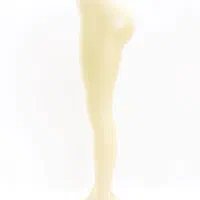 مانکن پا زنانه|فروشگاه و مغازه|اردبیل, |دیوار