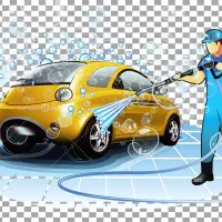 استخدام نیروی کارواش