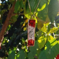 جاسوئیچی پلاک ماشین