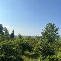 فروش-زمین-4600-متری-در-روستای-توریستی-سی-بن