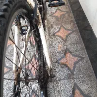 دوچرخه۲۶|دوچرخه، اسکیت، اسکوتر|کارون, |دیوار