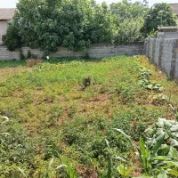 فروش زمین مسکونی|فروش زمین و ملک کلنگی|ارطه, |دیوار