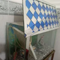 آکواریوم طرح کلبه