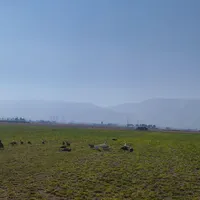 استخدام کارگر متخصص آبیاری بارانی مزرعه یونجه|استخدام صنعتی، فنی، مهندسی|شیراز, بید زرد|دیوار