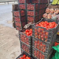 گوجه به قیمت گوجه ربی ۱۰تومان وتربار حراجی|حراج|گنبد کاووس, |دیوار