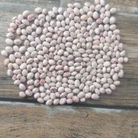 لوبیا چیتی اعلا بوجاری شده|خوردنی و آشامیدنی|تهران, عباسی|دیوار