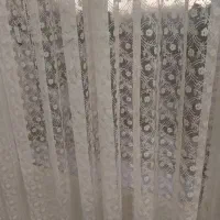 پرده صدفی اعلا