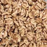 فروش عمده مغزدوپر