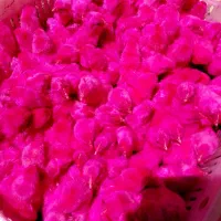 جوجه رنگی|حیوانات مزرعه|تهران, ترمینال جنوب|دیوار