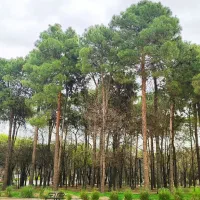 گروه کتابخوانی