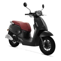 بنلی پانارا