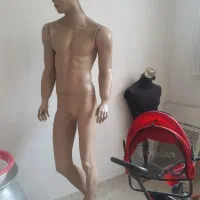 مانکن مردانه