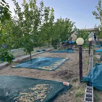 ۳۰۰۰متر زمین با اب هفتگی جهت باغ و ویلاسازی|فروش زمین و ملک کلنگی|قم, چهار مردان|دیوار