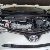 رافور ۲۰۱۷ عمان