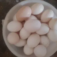 تخم مرغ محلی
