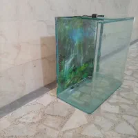 شیشه خمه آکواریوم همراه با متعلقات|ماهی|رشت, نظری|دیوار