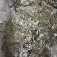 فروش کود کبوتر گونی