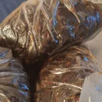 خرما|خوردنی و آشامیدنی|بندر کنگان, |دیوار