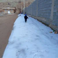 زمین-بنیاد-مسکن-شول