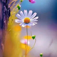 600-متر-دور-دیوار-ویرانی-3-چاه-خاصه