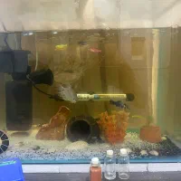 آکواریوم بهترین قیمت با ماهی و وسایل کامل