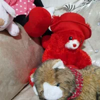 تعدادی عروسک نو نو سایز بزرگ