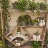 استند چوبی گل و گیاه